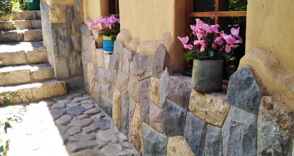 Escalera y muro de piedra con macetas de flores