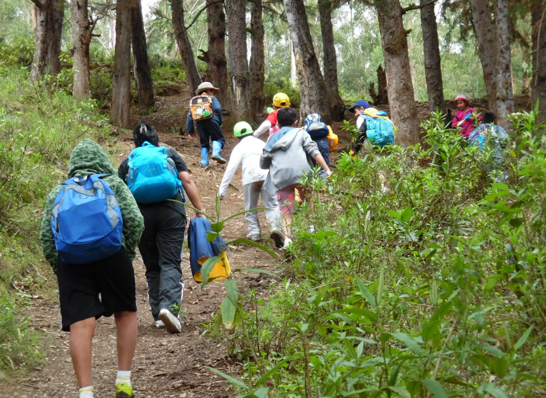 Niños con mochilas suben por un sendero entre árboles