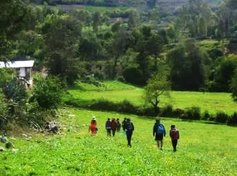 Un grupo de niños camina por un prado verde, en una salida al campo del taller